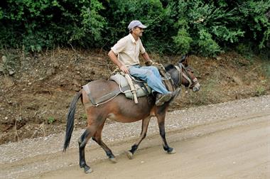 2003 SKIATHOS_2003_09_231_478